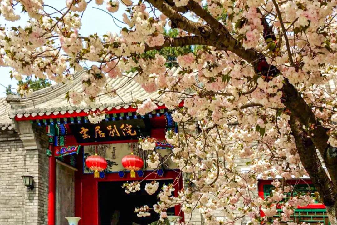房山2021赏花时间表(3-5月),新鲜出炉,请收藏(图5) 房山2021赏花时间表(3-5月),新鲜出炉,请收藏(图5)