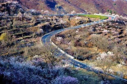 房山蒲洼村村名的由来(图1) 房山蒲洼村村名的由来(图1)